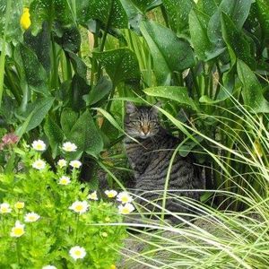 Meet your Posher, Lorraine